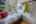 Blurred preview of media: PAX_1850