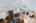 Blurred preview of media: 20250822_lg_JW0006