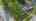 Blurred preview of media: DJI_0200