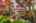 Blurred preview of media: 1-29