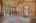 Blurred preview of media: NZ9_9498
