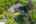 Blurred preview of media: 10_Ipixx_16