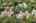 Blurred preview of media: DJI_20260828154819_0153_D