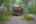 Blurred preview of media: PAX_1906