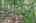 Blurred preview of media: IMG_4634_5_6_easyHDR