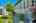 Blurred preview of media: IMG_1788