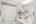 Blurred preview of media: 28