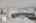 Blurred preview of media: 1109-ditmas-avenue-brooklyn-ny-usa-009