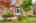 Blurred preview of media: 009