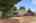 Blurred preview of media: 1-28