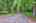Blurred preview of media: IMG_0985_6_7_easyHDR
