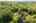 Blurred preview of media: 136 Fairbanks Street West Boylston Massachusetts Job 39378 0052