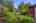 Blurred preview of media: 39