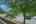 Blurred preview of media: 024
