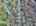 Blurred preview of media: DJI_20260409111702_0526_D_7_D_8_D_easyHDR