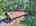 Blurred preview of media: DJI_20260829120238_0216_D_7_D_8_D_easyHDR