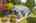 Blurred preview of media: Aerial 04