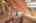 Blurred preview of media: IMG_0472_3_4