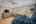 Blurred preview of media: 31-5034_NW_Deerhaven_Ter