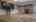Blurred preview of media: IMG_2482