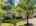 Blurred preview of media: 1-10565_SW_Cormorant_Dr