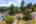 Blurred preview of media: 1-41