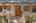Blurred preview of media: Aerial 01