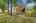 Blurred preview of media: bristow_108