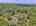 Blurred preview of media: DJI_20250728123554_0472_D_3_D_4_D_easyHDR