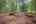 Blurred preview of media: PAX_1909
