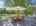 Blurred preview of media: Image Sep 13, 2026 at 07_44_15 AM