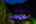 Blurred preview of media: 4Sept0065