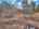 Blurred preview of media: DJI_20260310132554_0657_D_8_D_9_D_easyHDR
