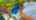 Blurred preview of media: 93