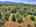 Blurred preview of media: DJI_20250802145807_0730_D_1_D_2_D_easyHDR
