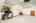 Blurred preview of media: 1-54
