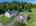 Blurred preview of media: 321 Princeton Road Sterling MA 0183