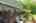 Blurred preview of media: 66 Woobly Road Bolton Massachusetts Job 39072 0010
