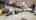 Blurred preview of media: Unknown media