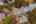Blurred preview of media: 1-68