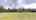 Blurred preview of media: Jarett-Mutts-Photography-06082018_084912
