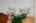 Blurred preview of media: SW Boundary st-23