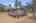 Blurred preview of media: 1E0A3861