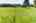 Blurred preview of media: 321 Princeton Road Sterling MA 0021