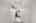 Blurred preview of media: 15