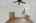 Blurred preview of media: 2-826-7757