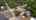 Blurred preview of media: Unknown media