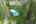 Blurred preview of media: DJI_0374
