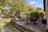 Blurred preview of media: IMG_0315