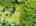 Blurred preview of media: 1-926-